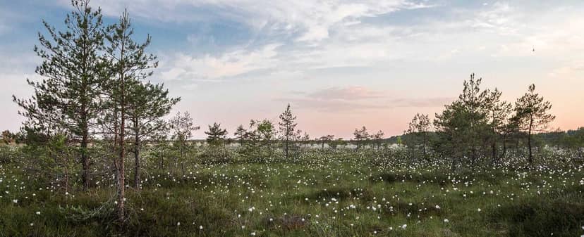 Unauth title WrejlGjn